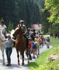 Pferdreiten: Reitschule Schneider