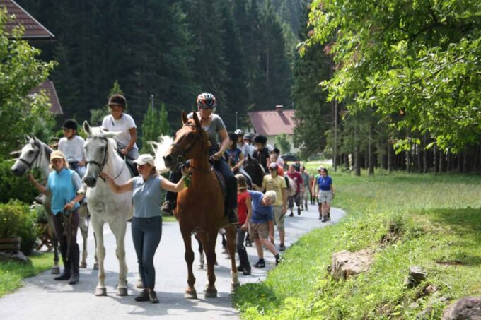 Pferdreiten: Reitschule Schneider